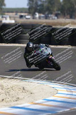 media/Sep-21-2025-TrackDaz (Sun) [[277c75b276]]/B Group/220pm (Turn 6)/